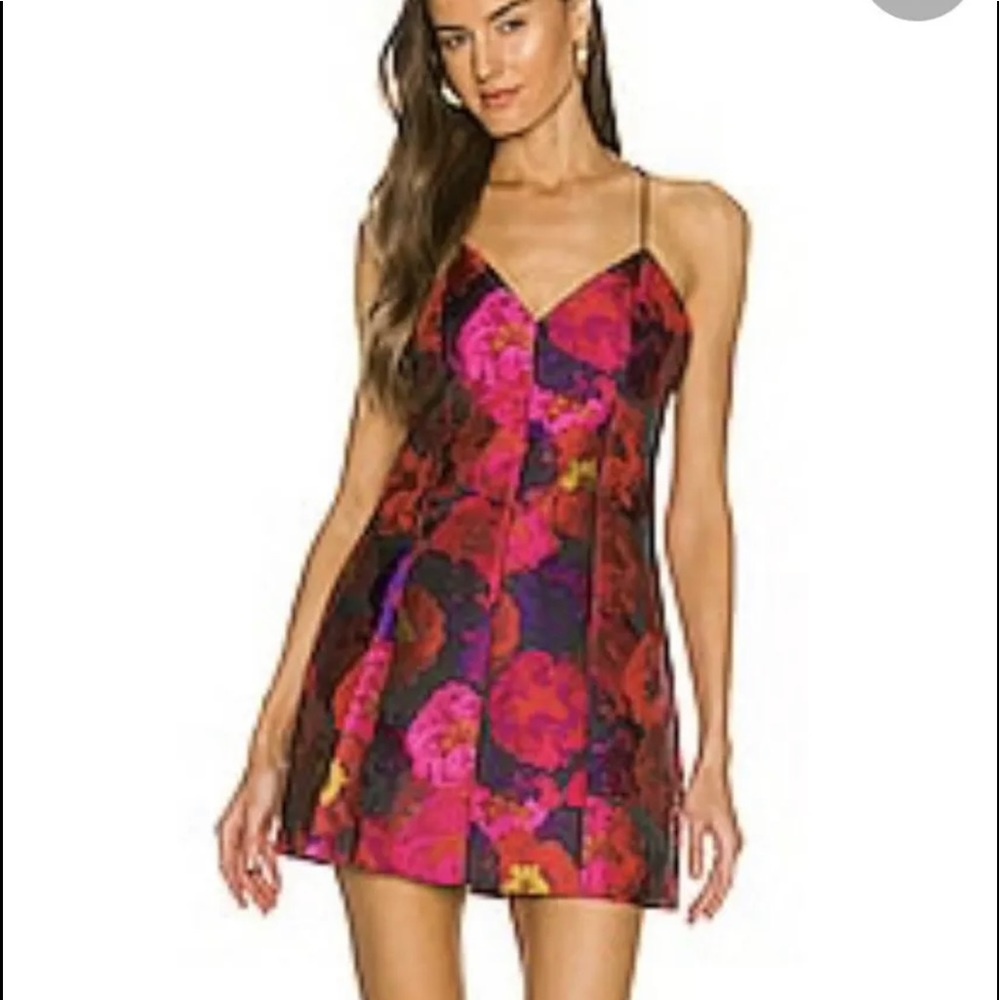 Alice + Olivia Floral Mini Dress - Pink and Red